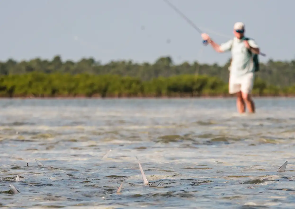 The Fly Shop Travel Image