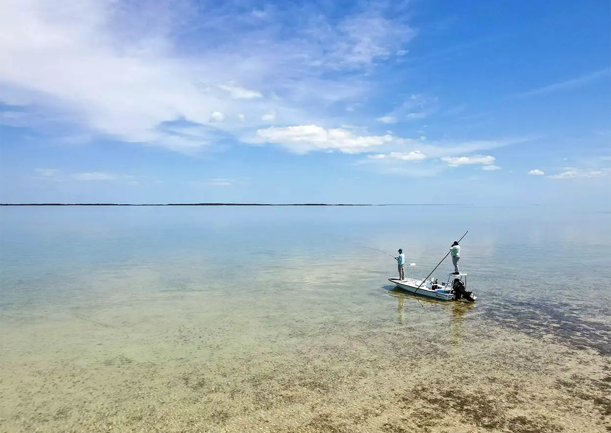 The Fly Shop Travel Image