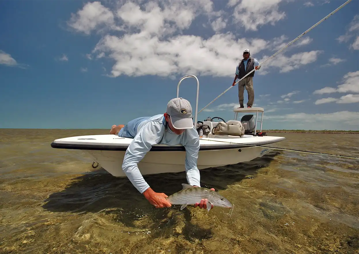 The Fly Shop Travel Image