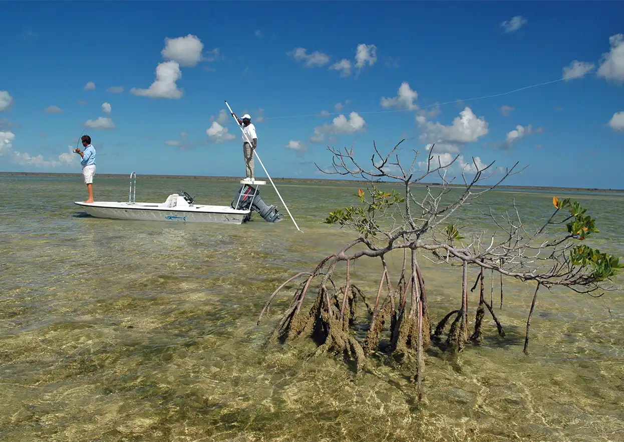 The Fly Shop Travel Image