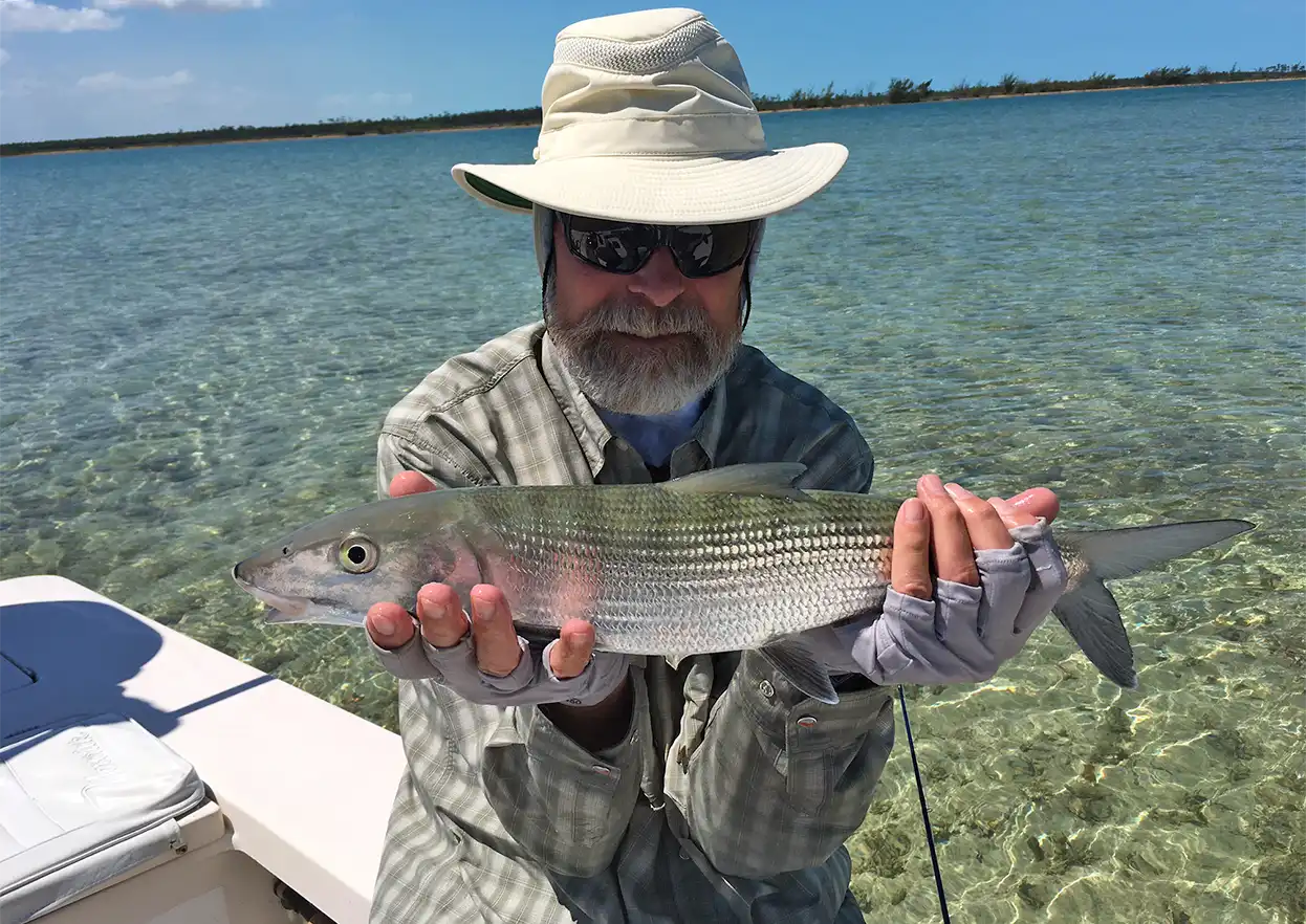 The Fly Shop Travel Image