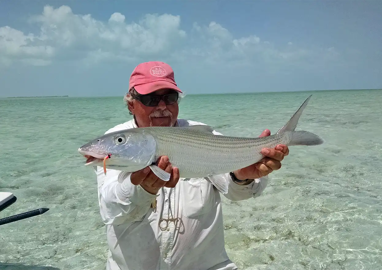 The Fly Shop Travel Image