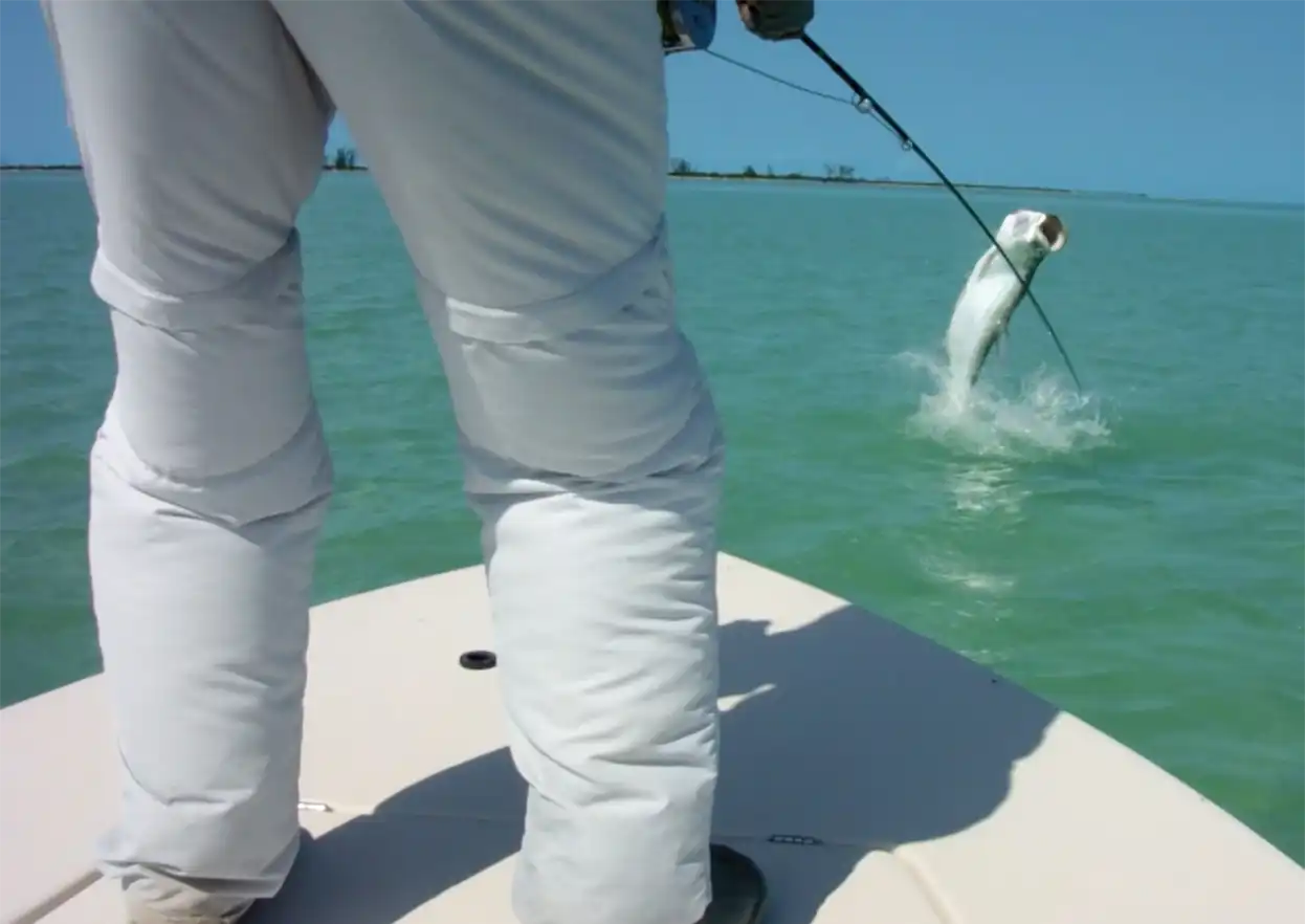 The Fly Shop Travel Image