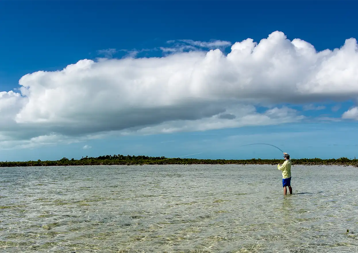 The Fly Shop Travel Image