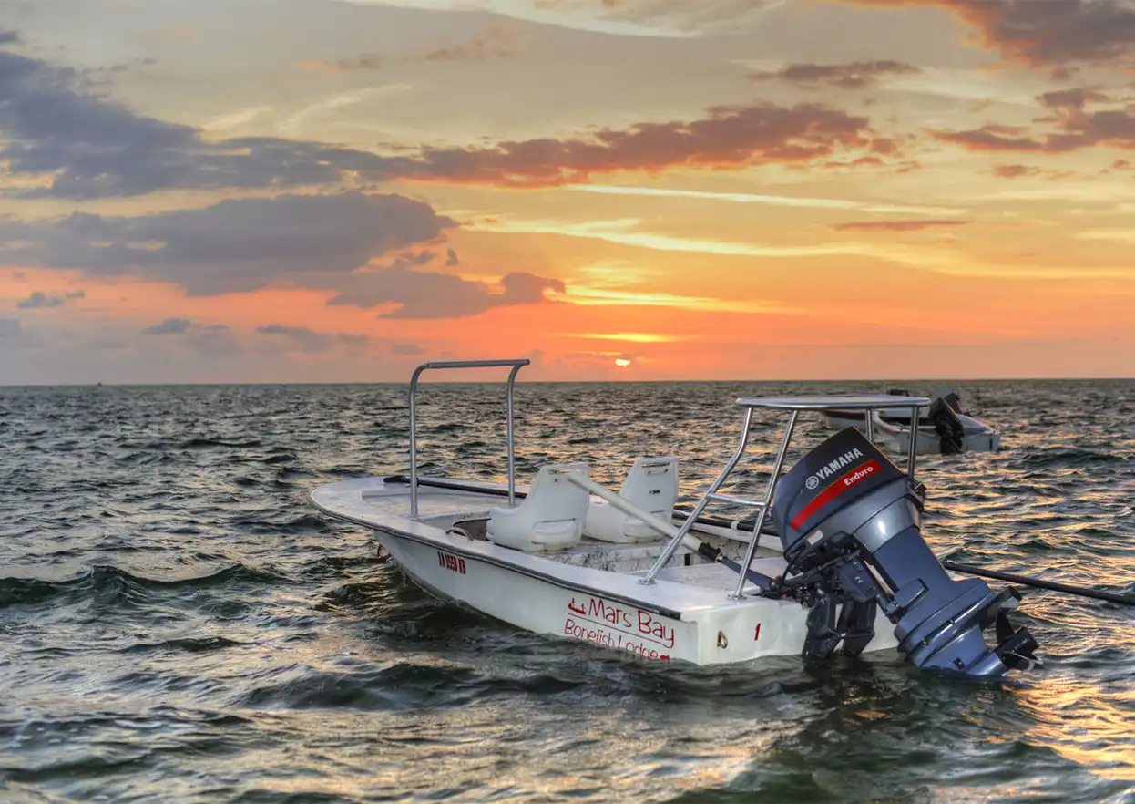 The Fly Shop Travel Image