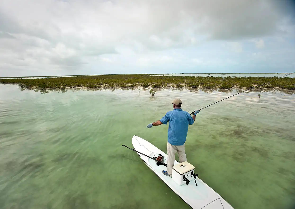 The Fly Shop Travel Image