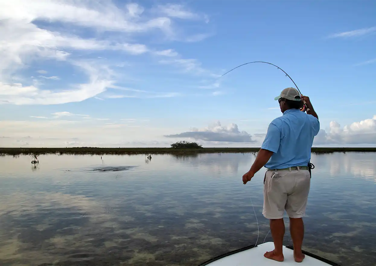 The Fly Shop Travel Image