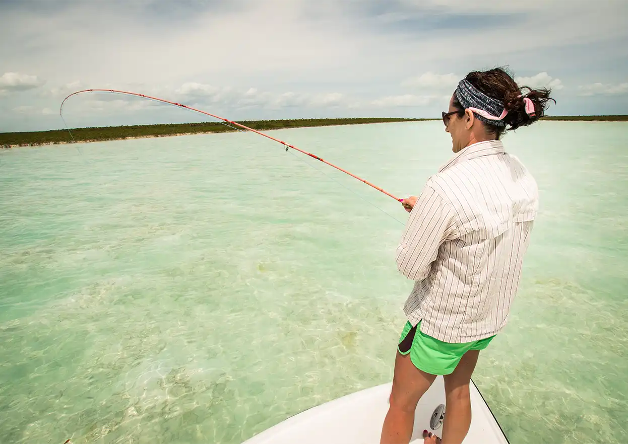 The Fly Shop Travel Image