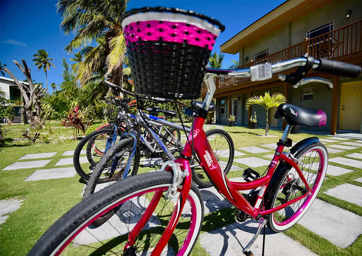 The Fly Shop Travel Image