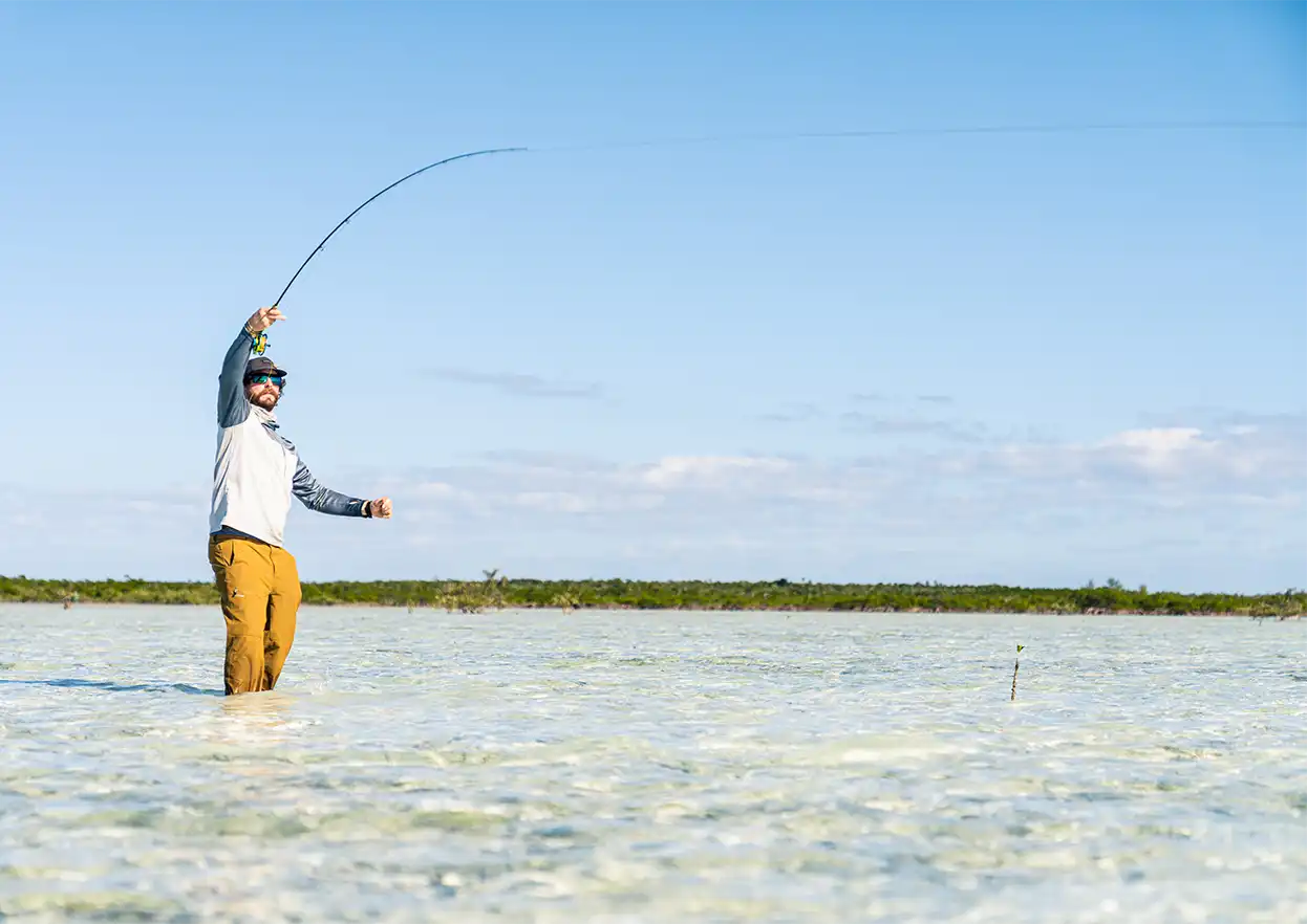 The Fly Shop Travel Image