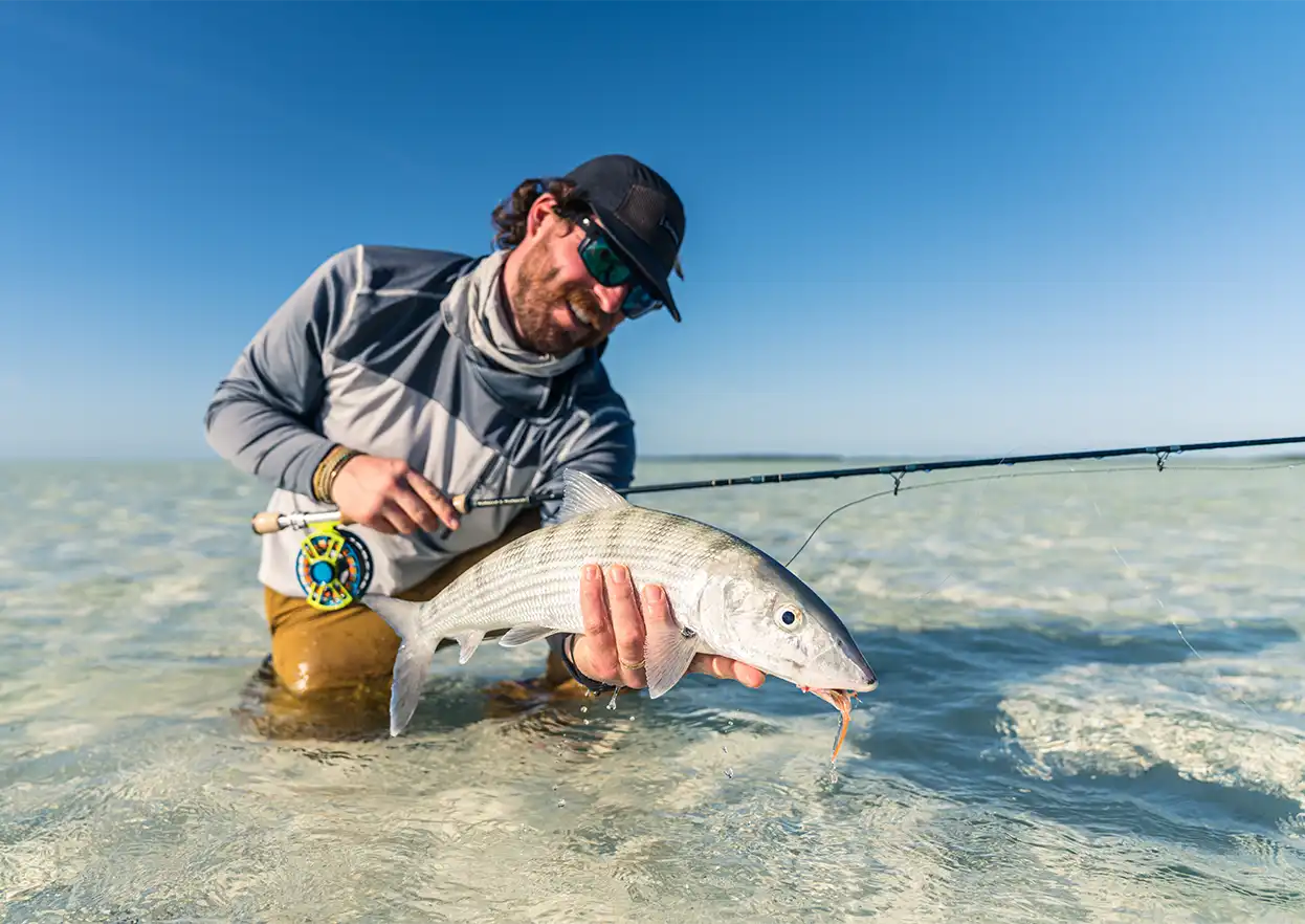 The Fly Shop Travel Image