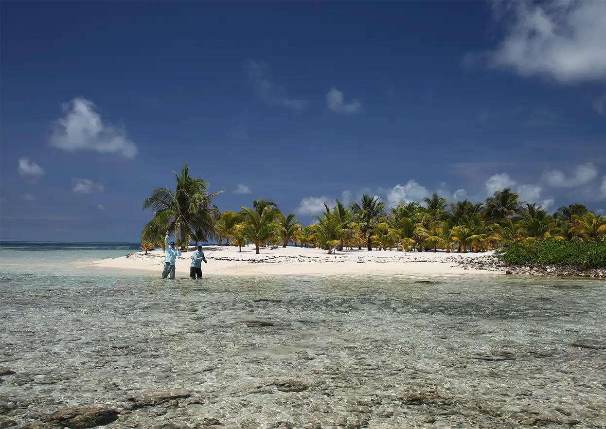 The Fly Shop Travel Image