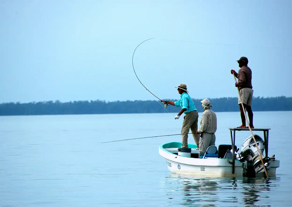 The Fly Shop Travel Image
