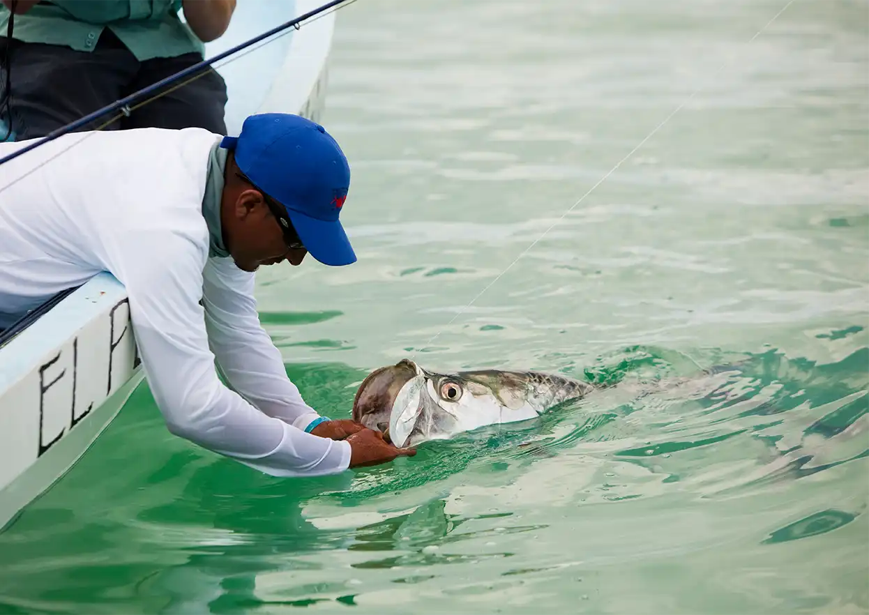 The Fly Shop Travel Image