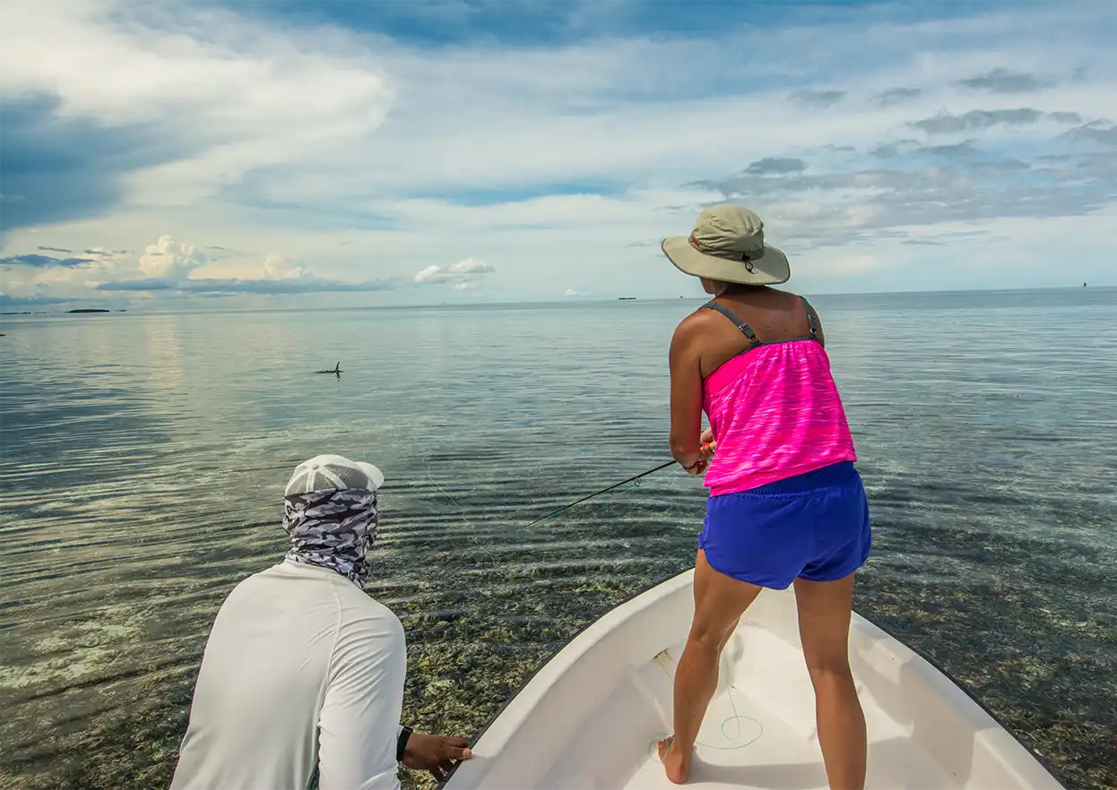 The Fly Shop Travel Image