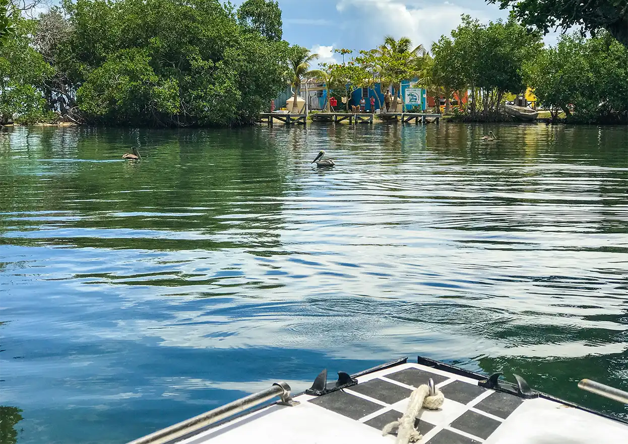 The Fly Shop Travel Image