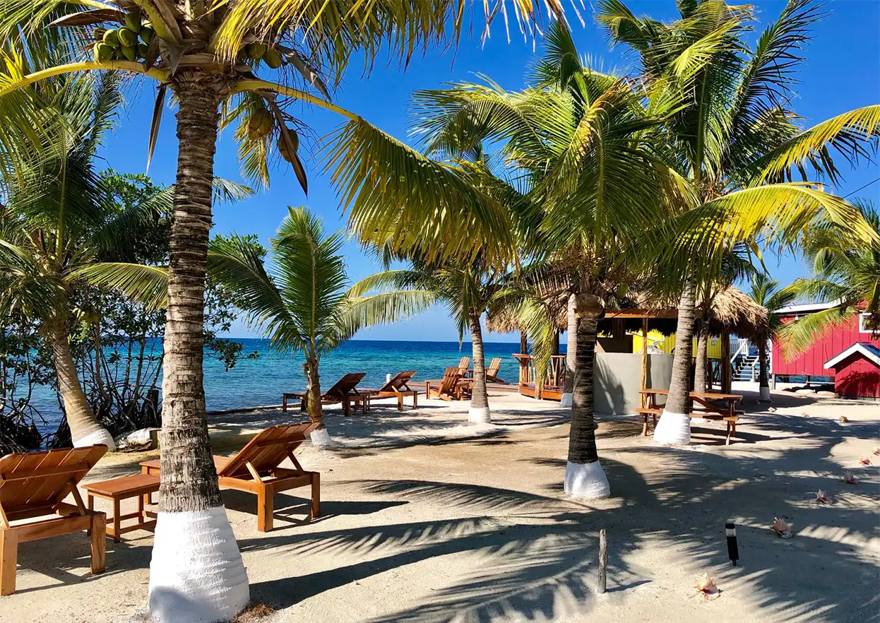 The Fly Shop Travel Image