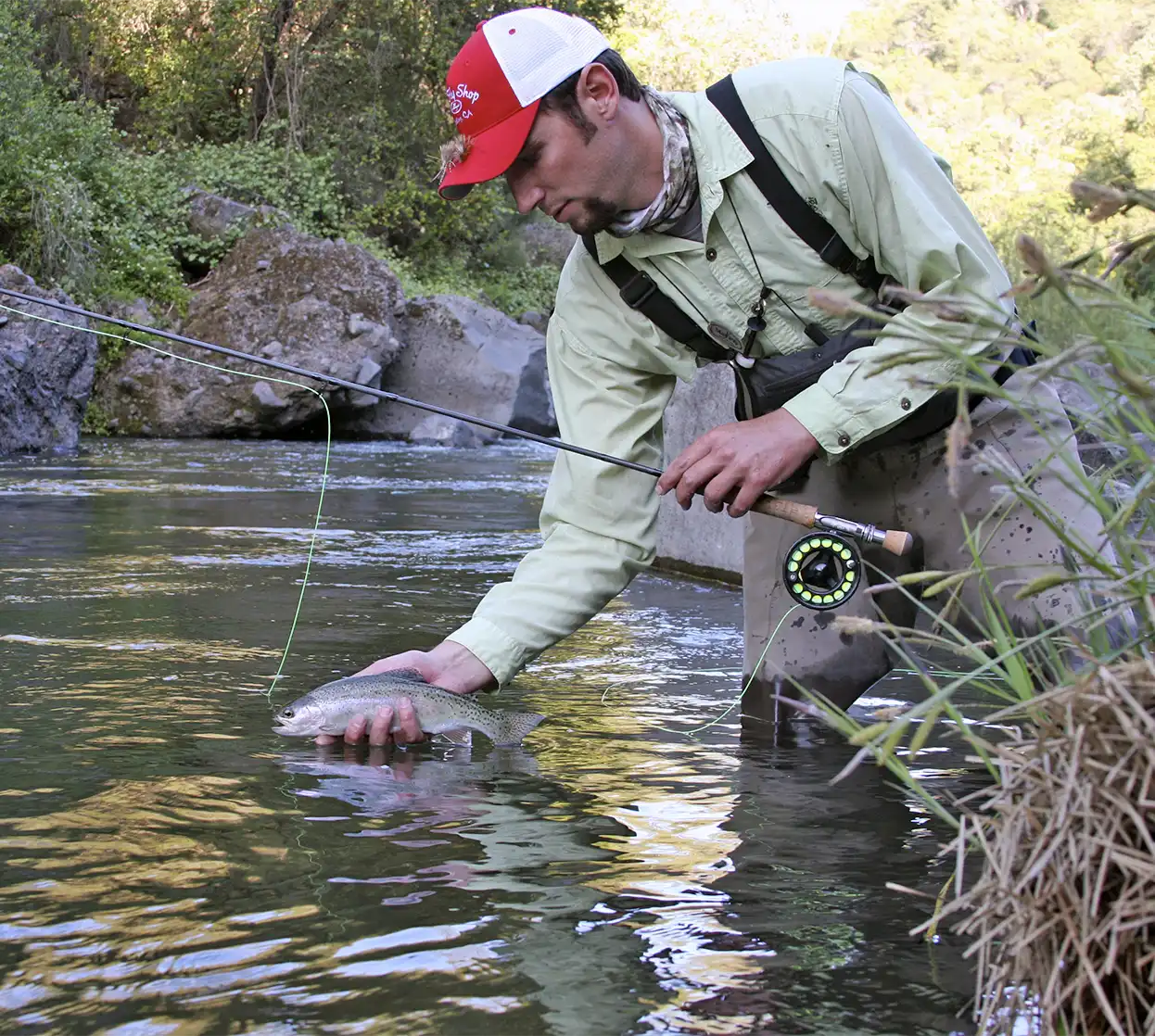 The Fly Shop Travel Image