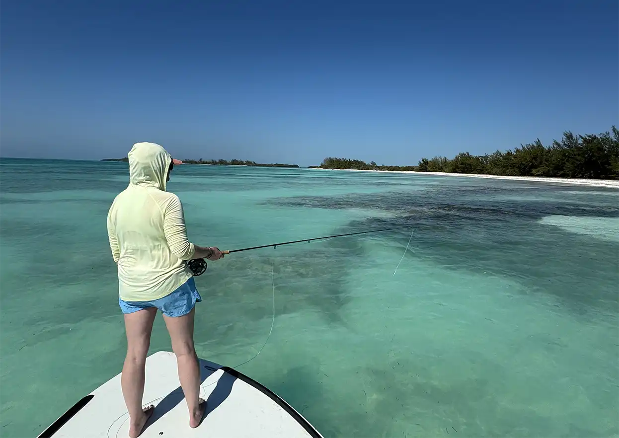 The Fly Shop Travel Image