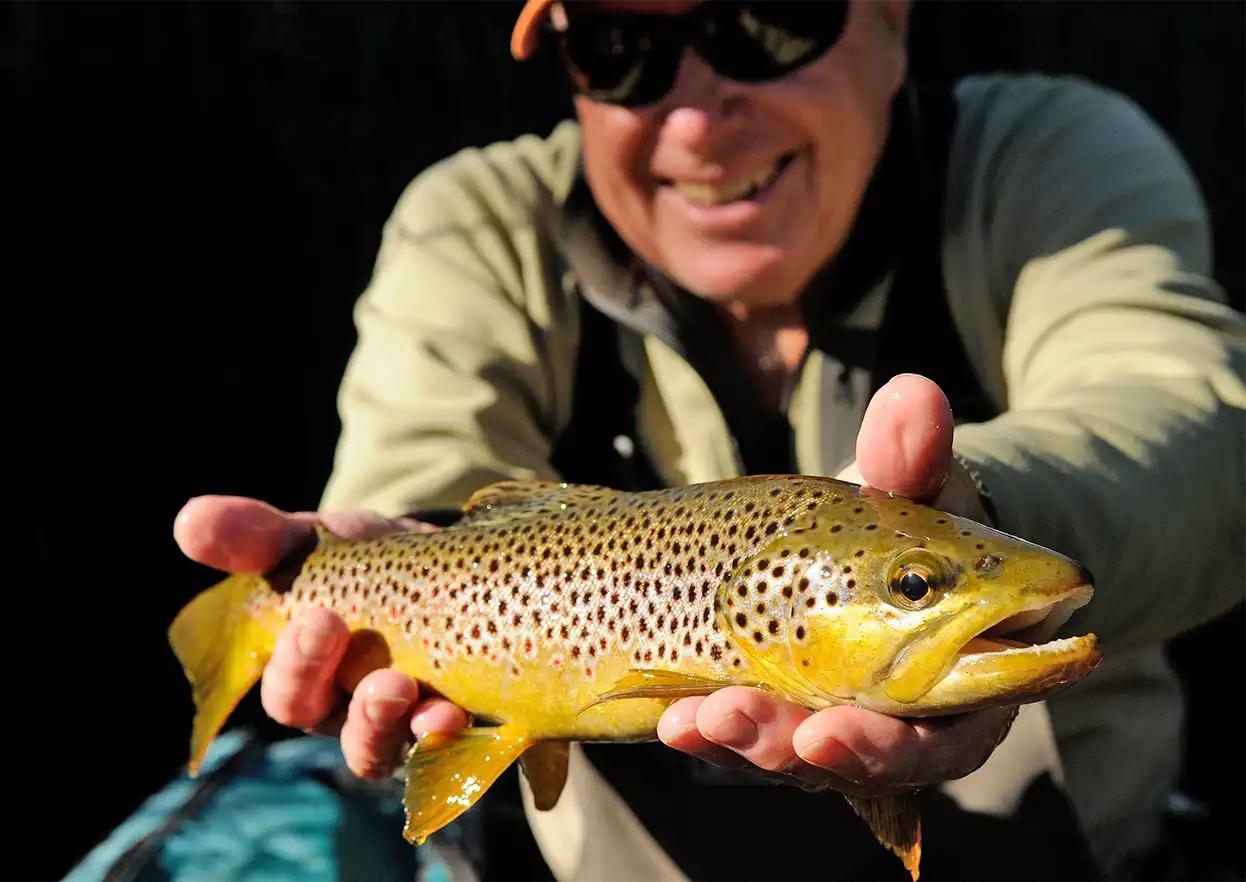 The Fly Shop Travel Image