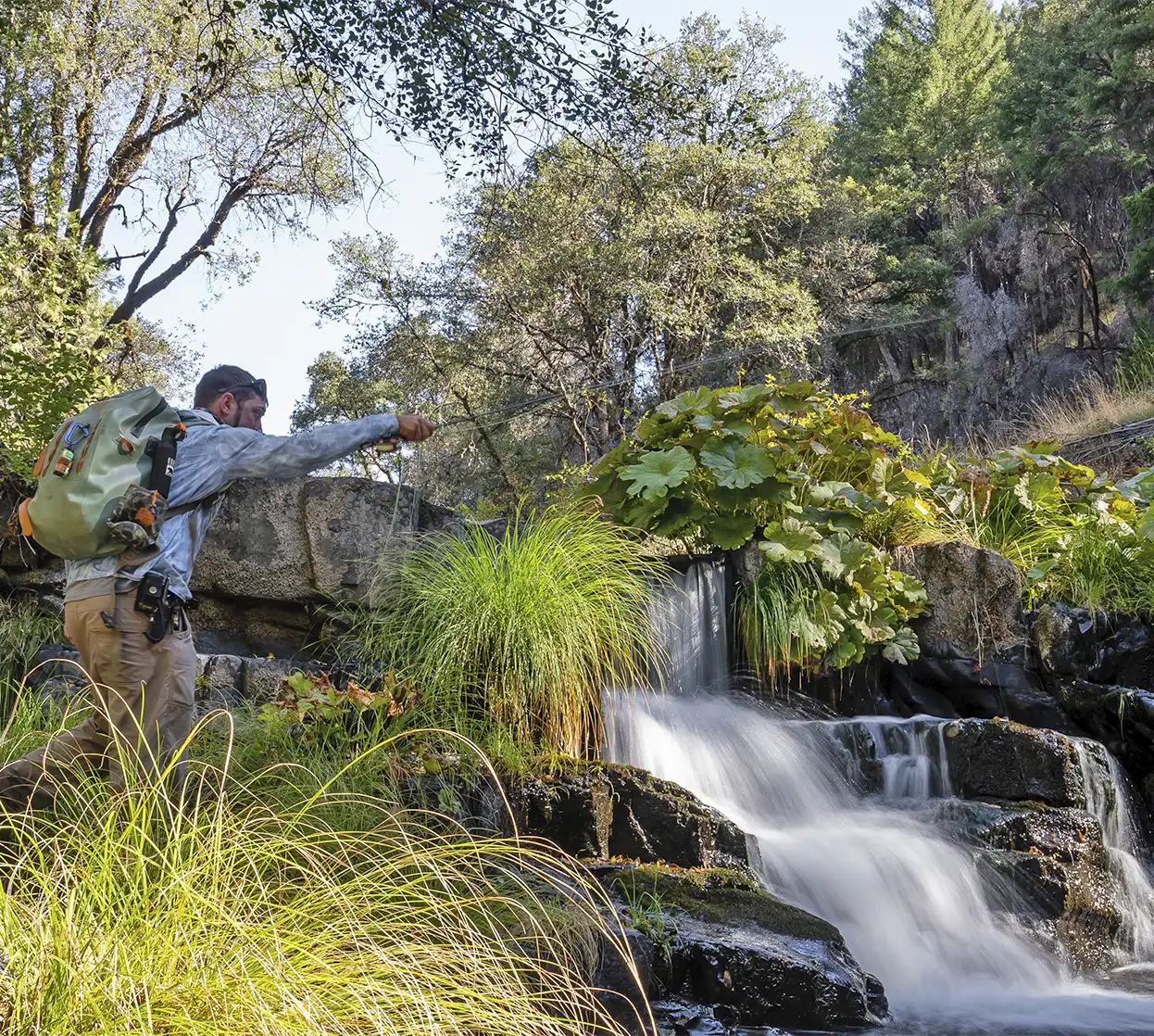 The Fly Shop Travel Image