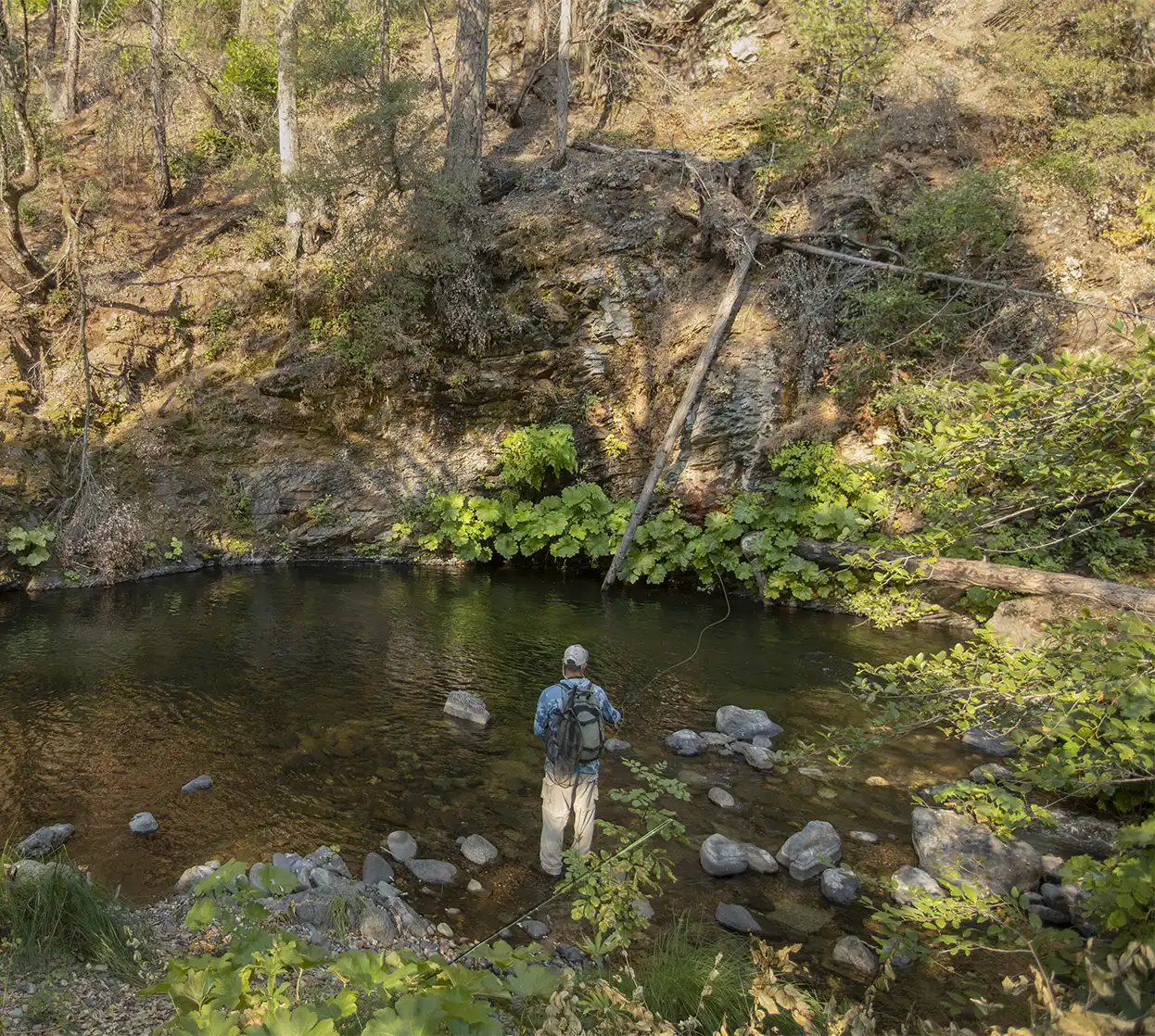 The Fly Shop Travel Image