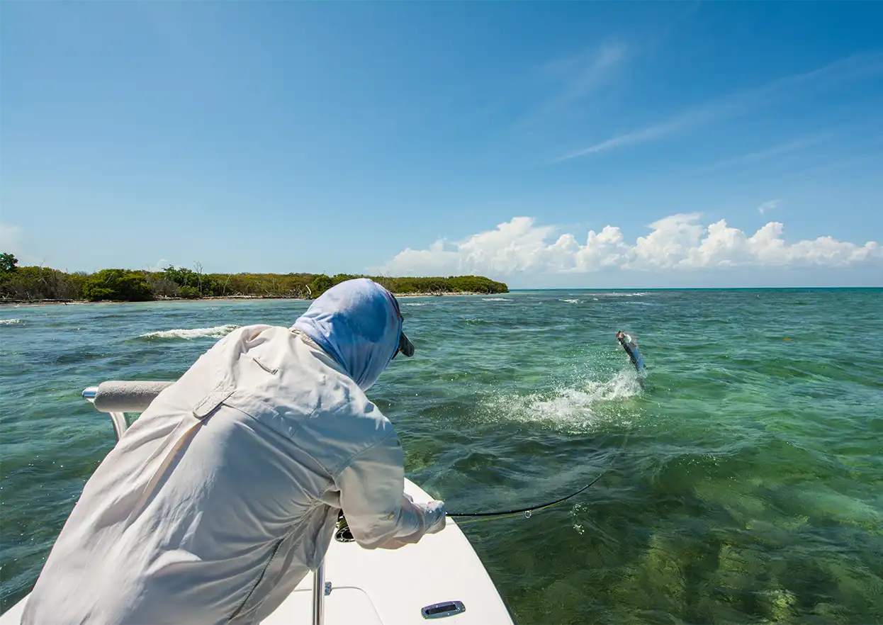 The Fly Shop Travel Image