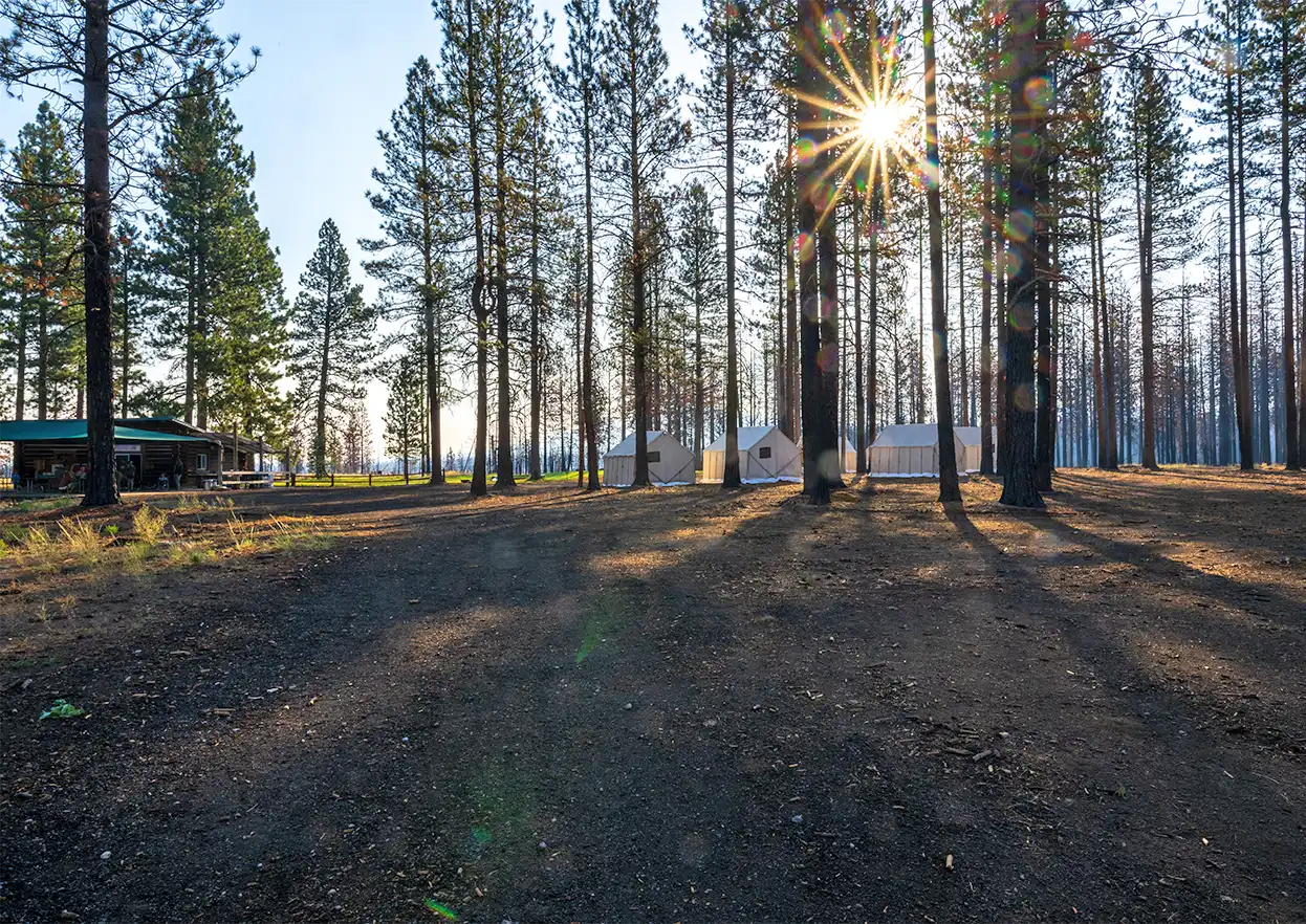 The Fly Shop Travel Image