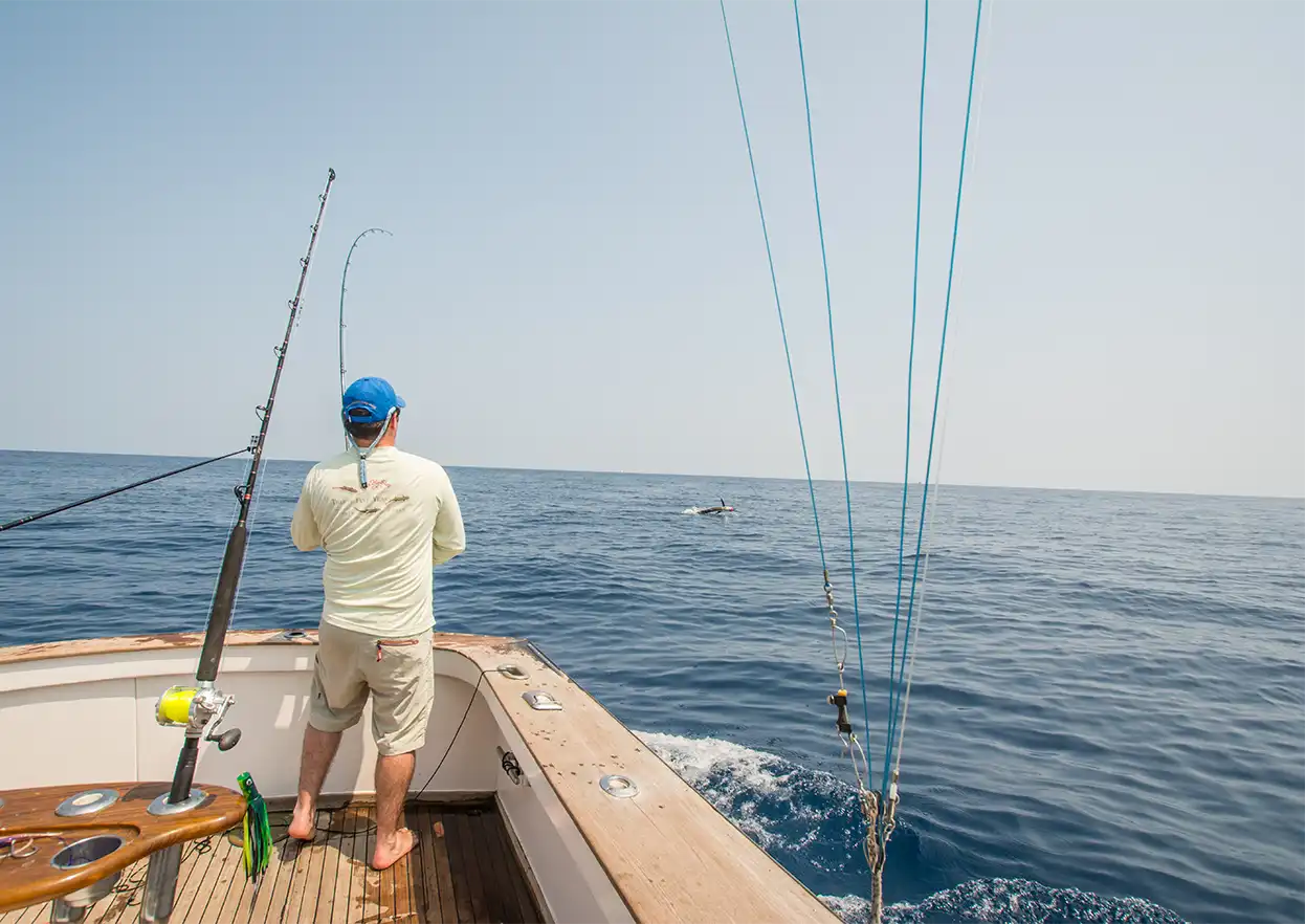 The Fly Shop Travel Image