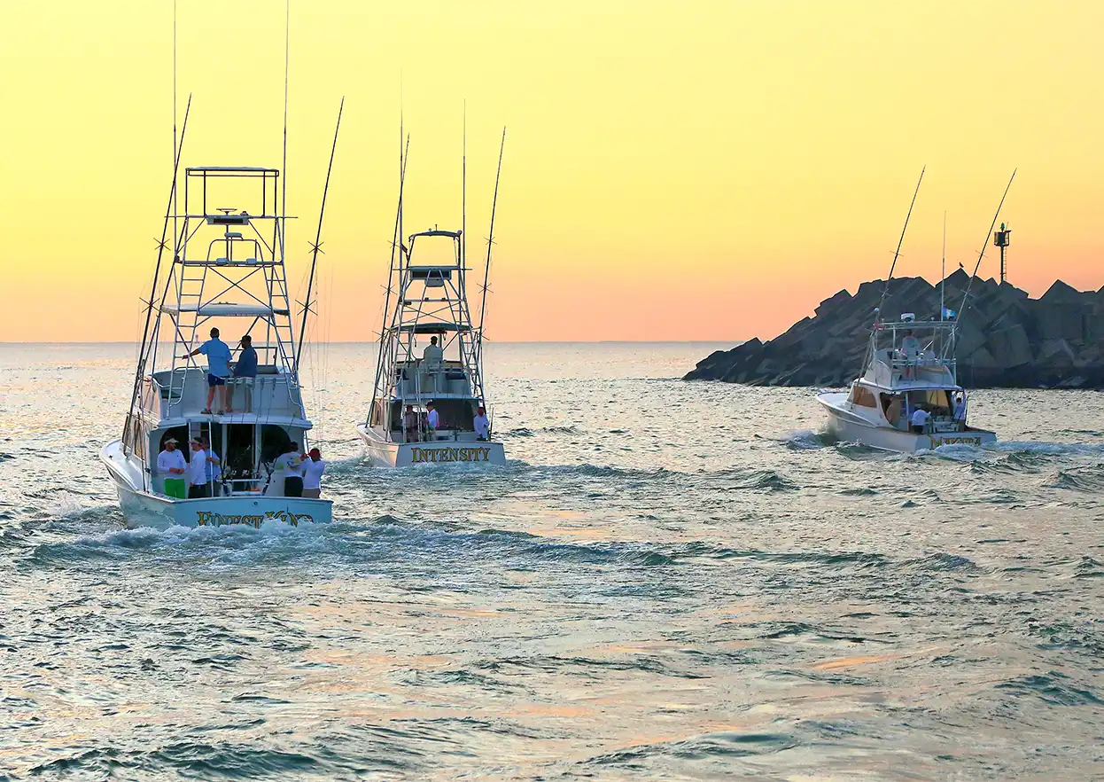 The Fly Shop Travel Image