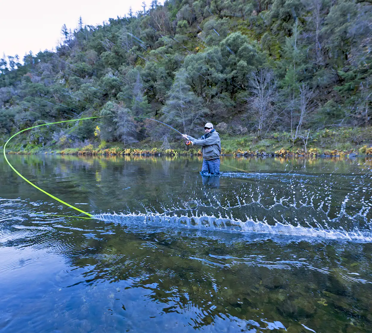 The Fly Shop Travel Image