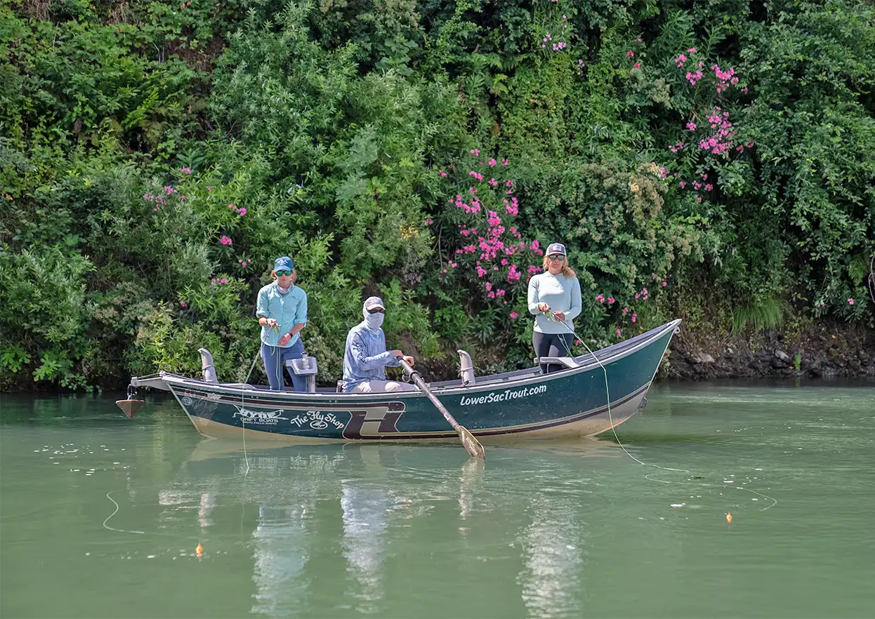 The Fly Shop Travel Image