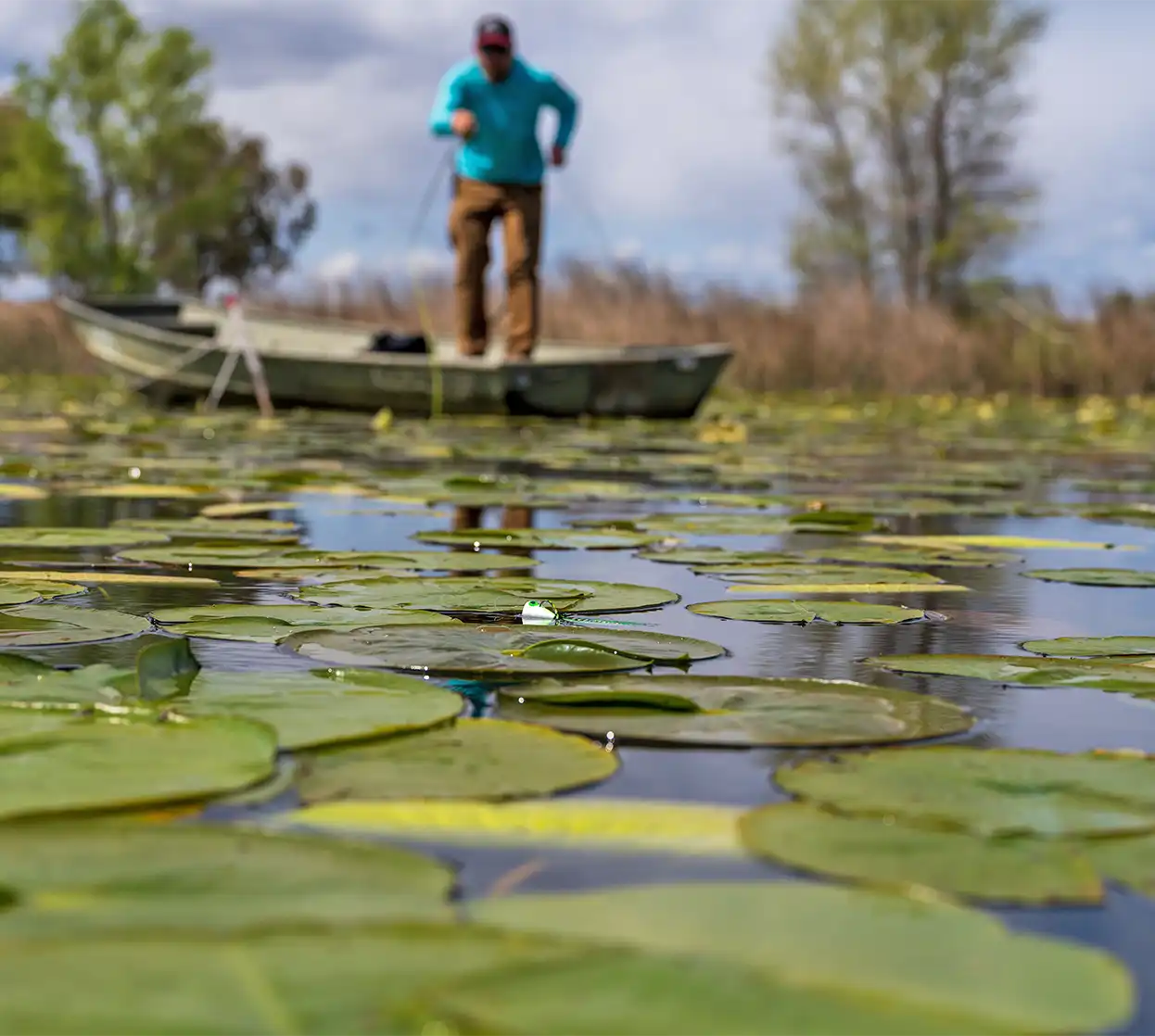 The Fly Shop Travel Image