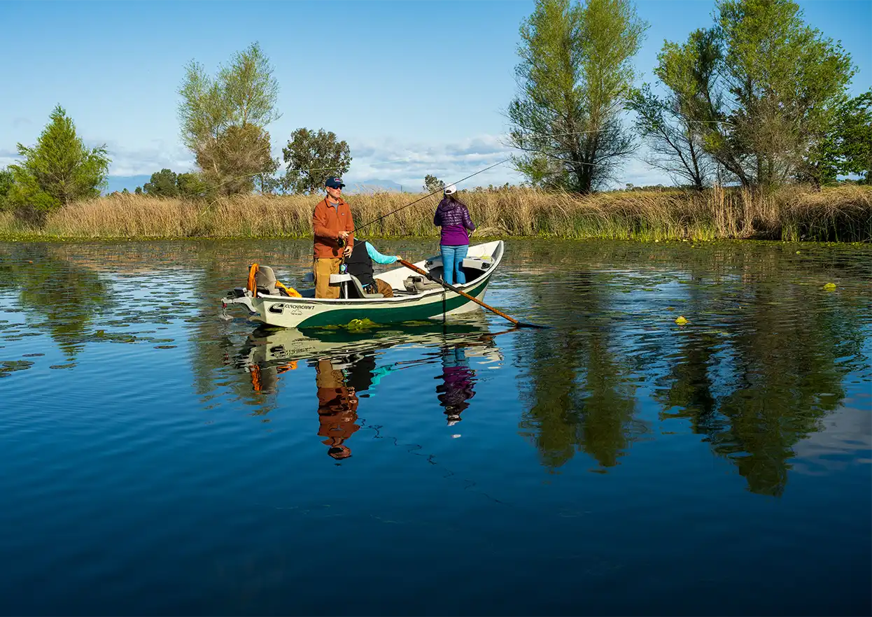 The Fly Shop Travel Image