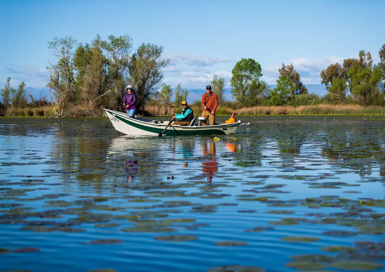 The Fly Shop Travel Image