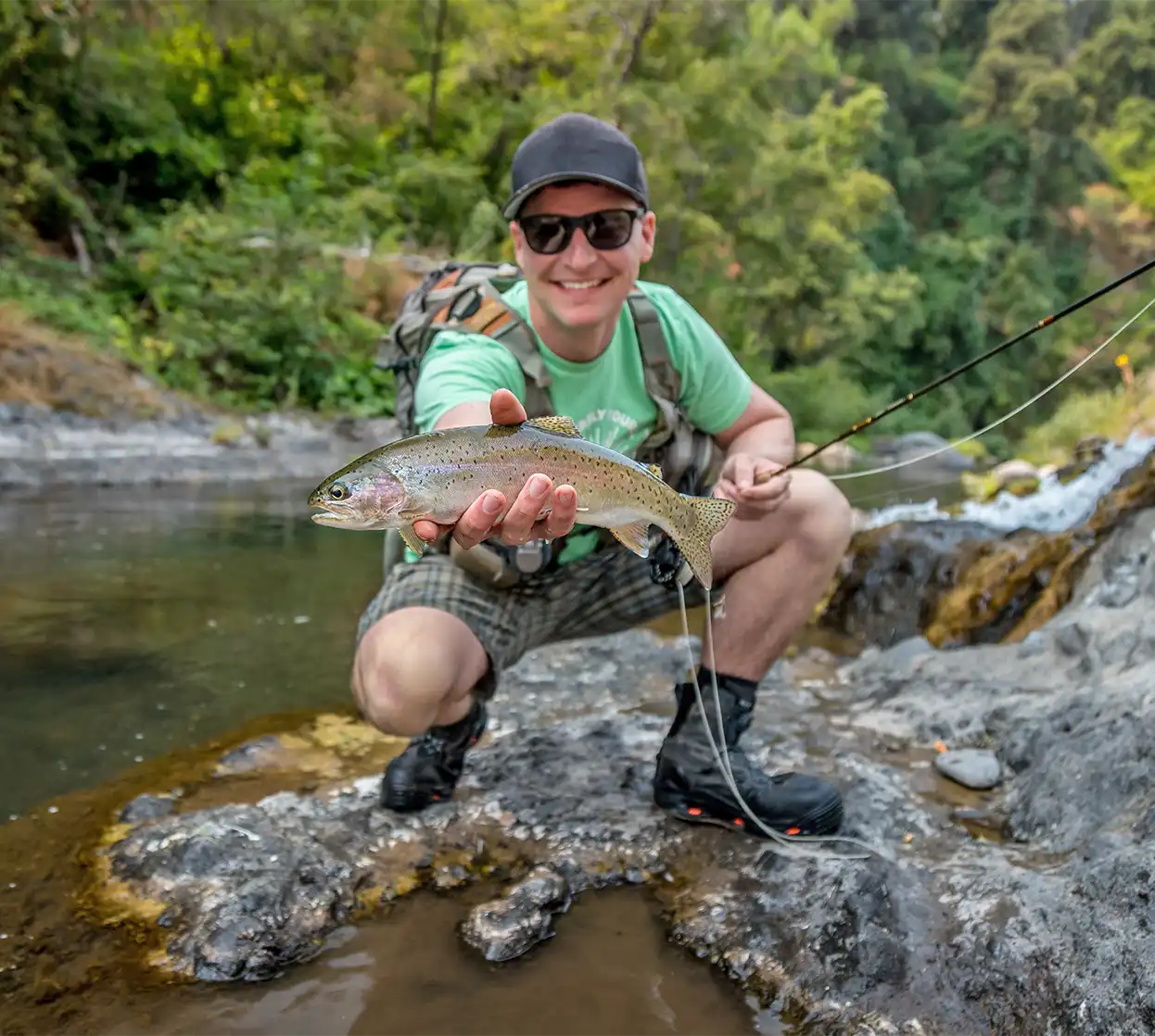 The Fly Shop Travel Image