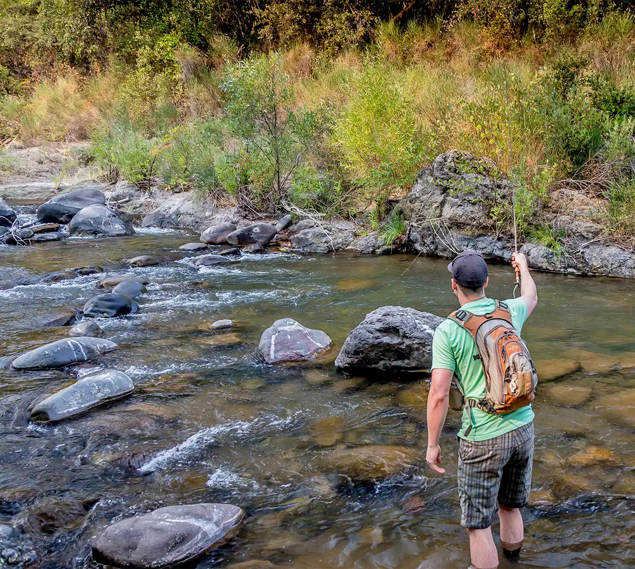 The Fly Shop Travel Image