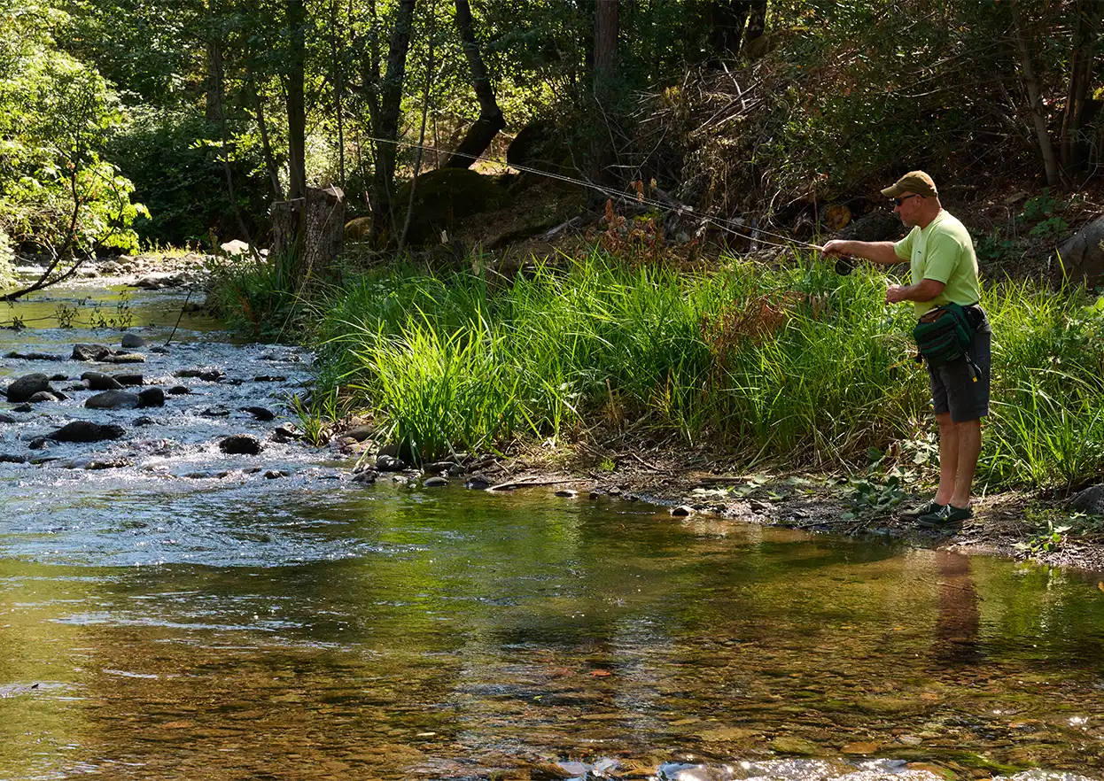 The Fly Shop Travel Image