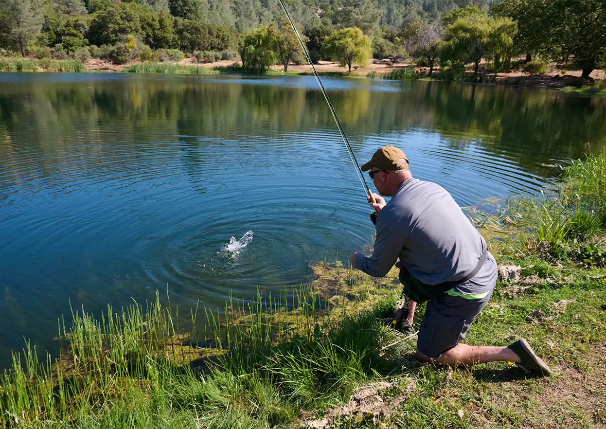 The Fly Shop Travel Image