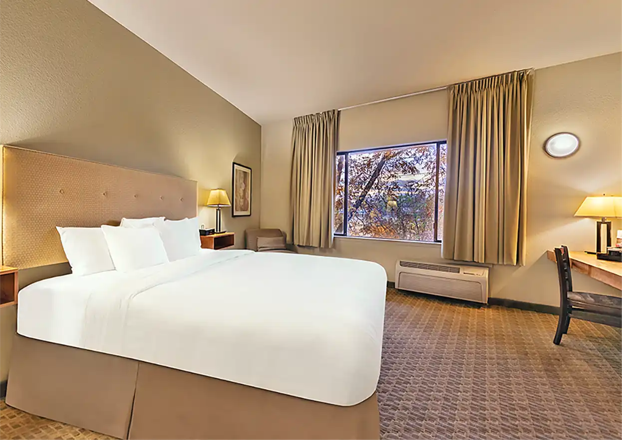 The Fly Shop Travel Image