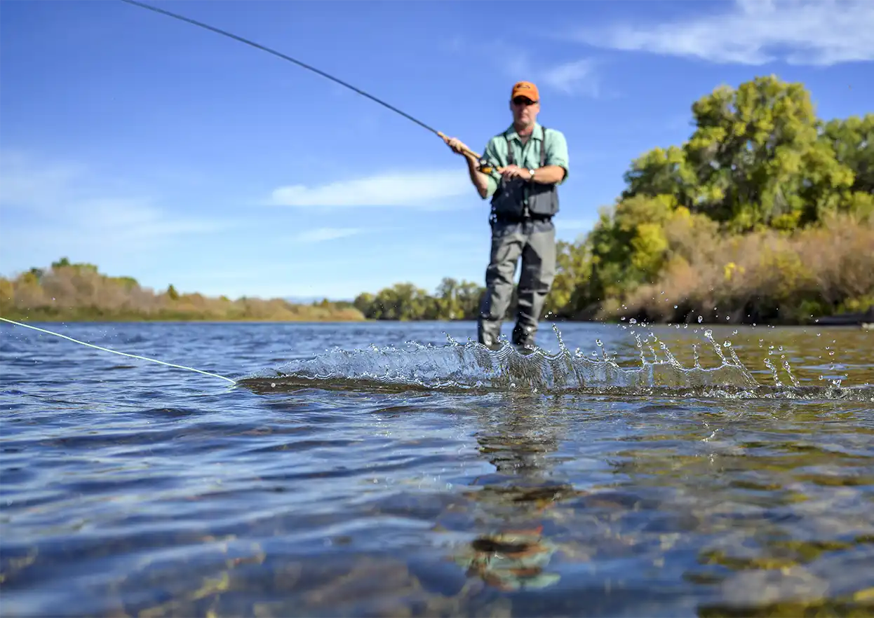 The Fly Shop Travel Image