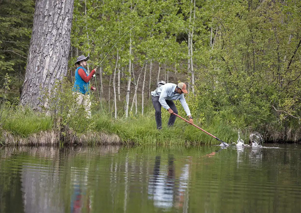 The Fly Shop Travel Image
