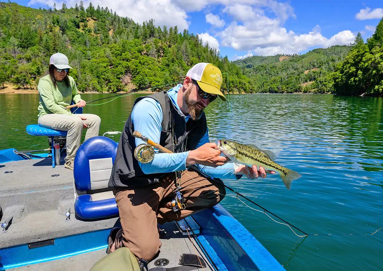 The Fly Shop Travel Image