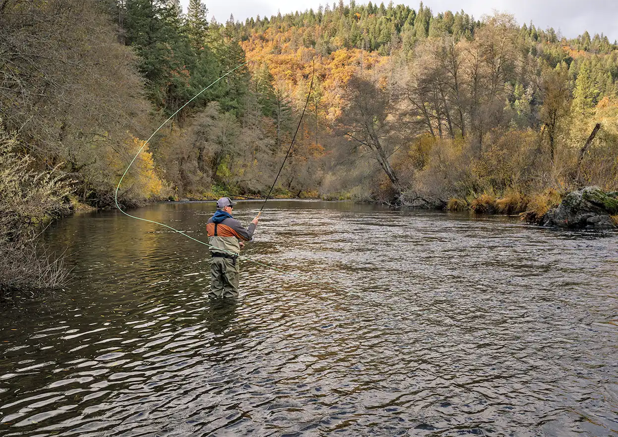 The Fly Shop Travel Image