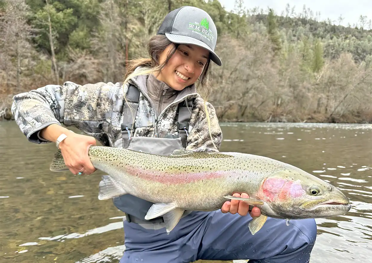 The Fly Shop Travel Image