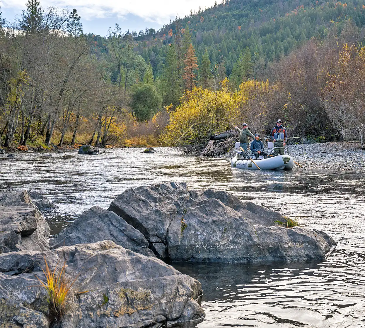 The Fly Shop Travel Image