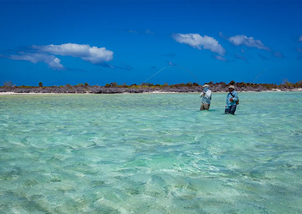 The Fly Shop Travel Image