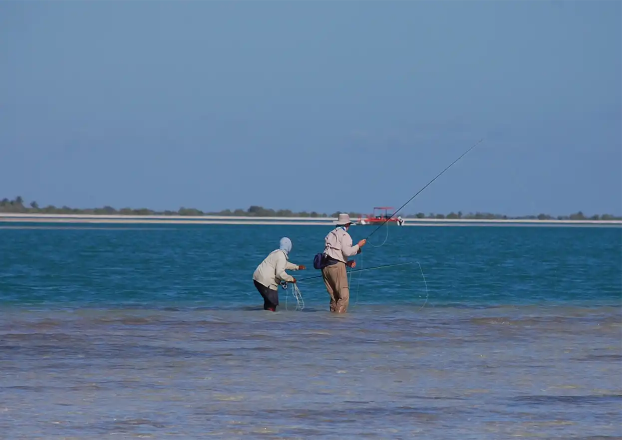 The Fly Shop Travel Image