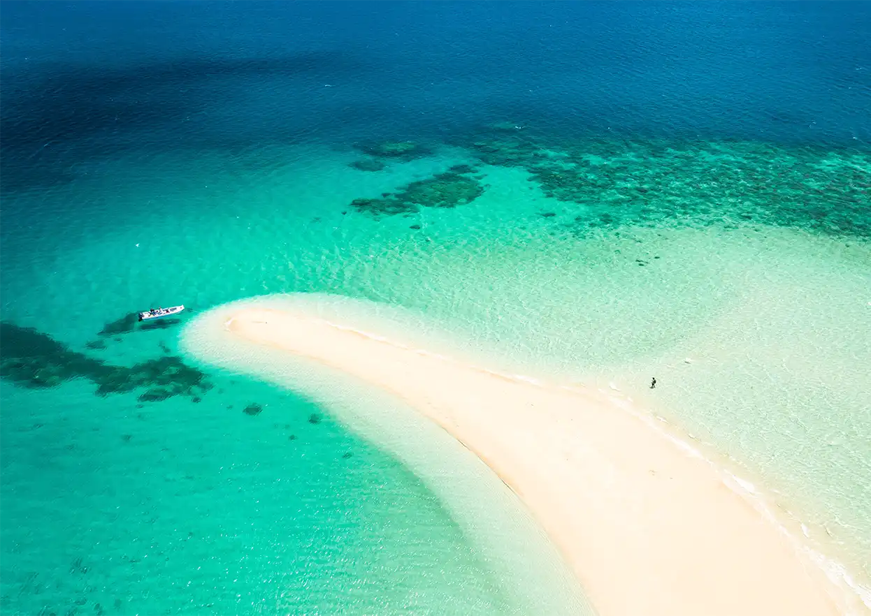 The Fly Shop Travel Image