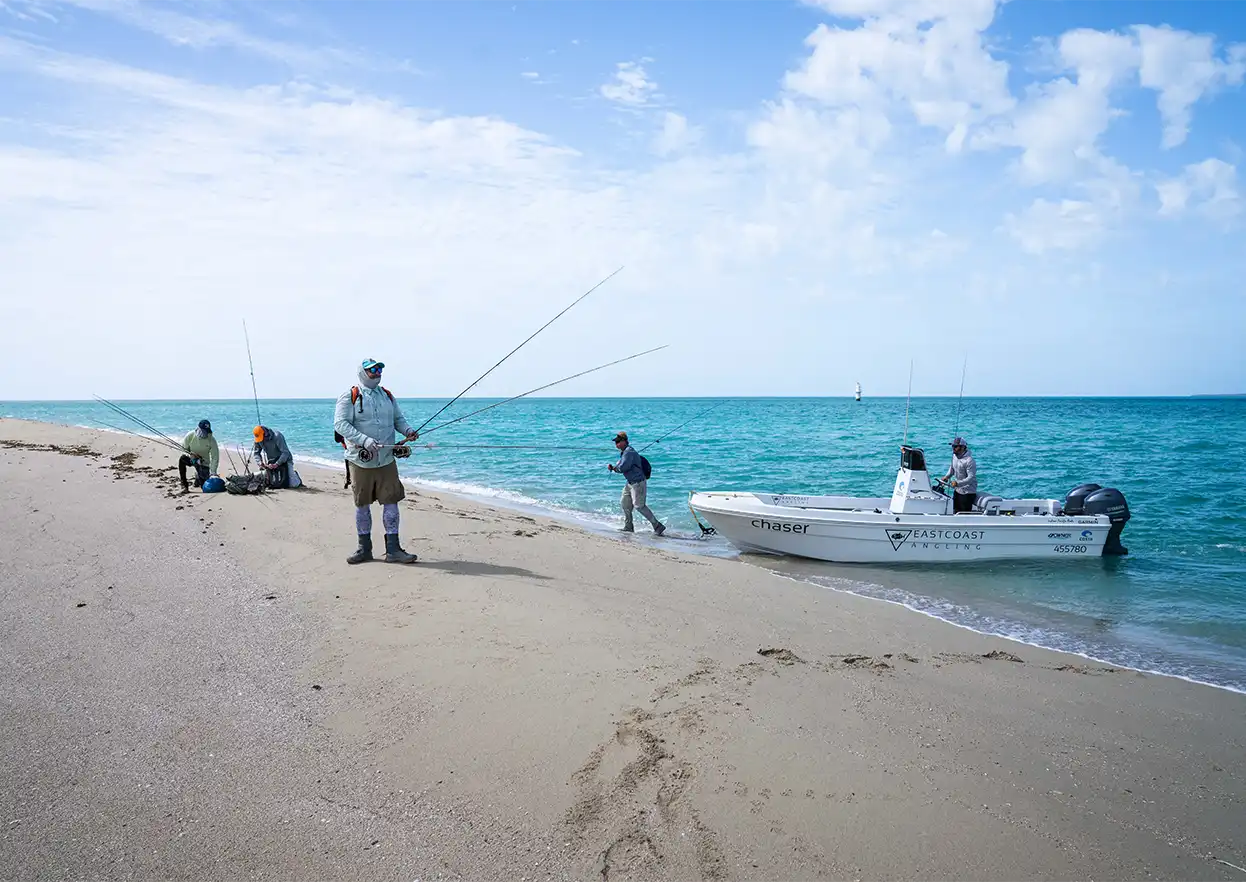 The Fly Shop Travel Image